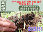rx(chng)Ĳ շb 1/r(ji)100Ԫ/