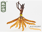 xĲ2.2l/ ڲ x؛r(ji)286Ԫ/